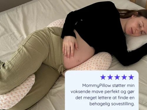 Graviditetspude test